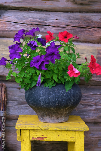 cast iron bowler hat with flowers on a yellow chair