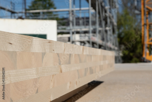 Nachhaltiges Bauen mit Holz als Baustoff
