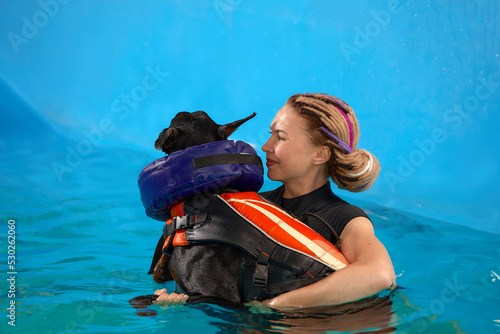 Принти на полотні Dog in life jacket swim in the swimming pool with coach