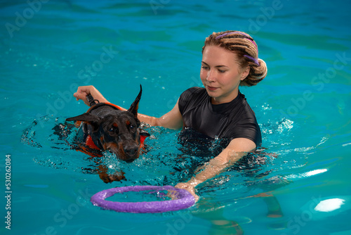 Konstfotografi Dog in life jacket swim in the swimming pool with coach