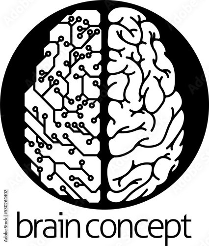 Human brain electrical circ...