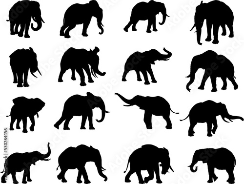 Elephant Silhouettes Graphic