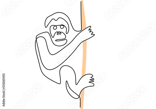 One continuous single line of climbing orangutan for international orangutan day isolated on white background.