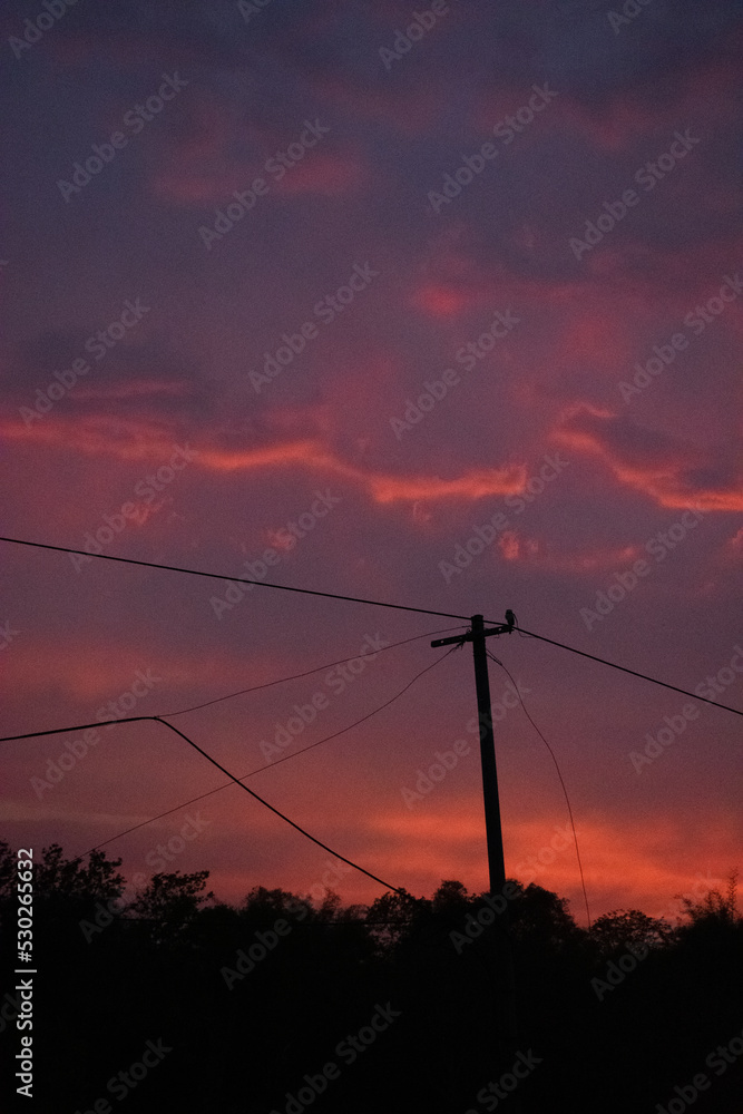 Silhouette of Telephone Pole after Sunset - Anime style Clouds on the Sky - Pink Clouds during Dawn - Fire in the sky