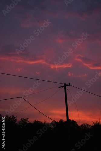 Silhouette of Telephone Pole after Sunset - Anime style Clouds on the Sky - Pink Clouds during Dawn - Fire in the sky