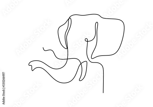 One continuous single line ...