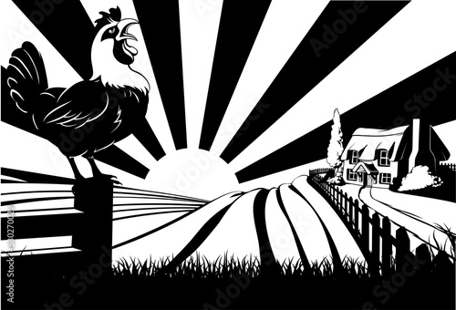 Crowing rooster farm house ...