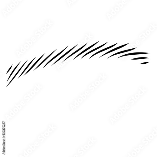 Eyebrow Shape