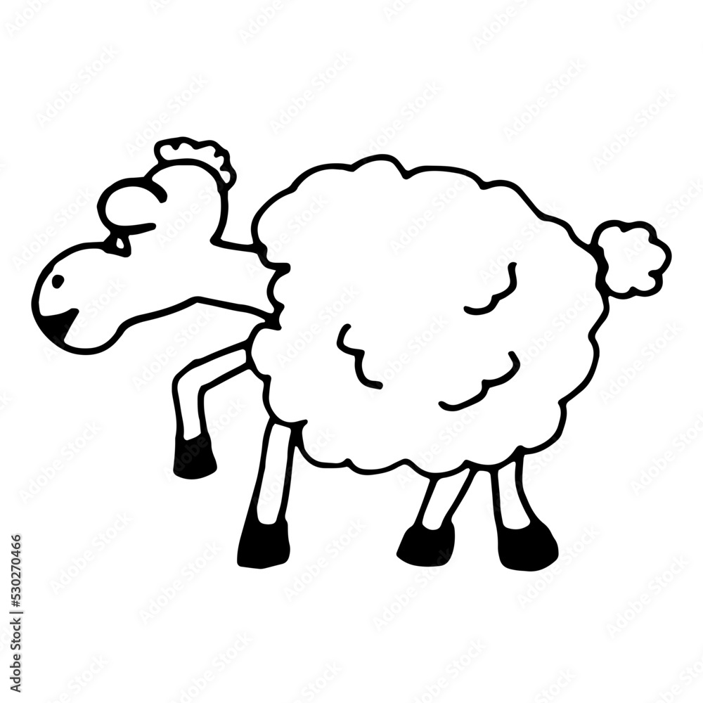 sheep sheep