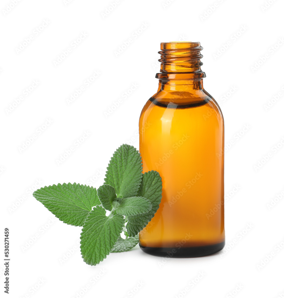 Bottle of essential oil and mint on white background Bottle of essential oil and mint on white background