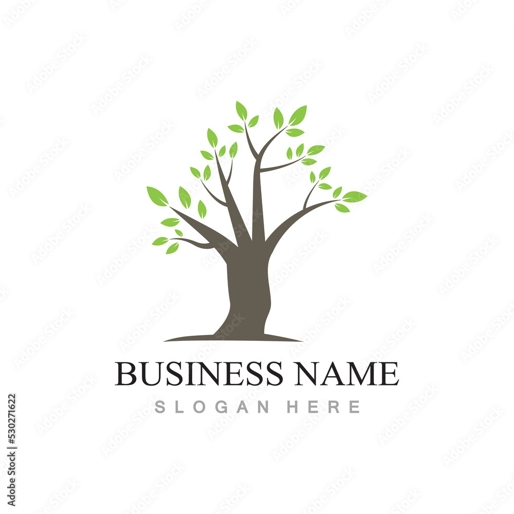 Obraz premium tree logo design with template vector concept
