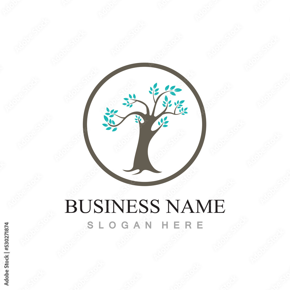 Obraz premium tree logo design with template vector concept