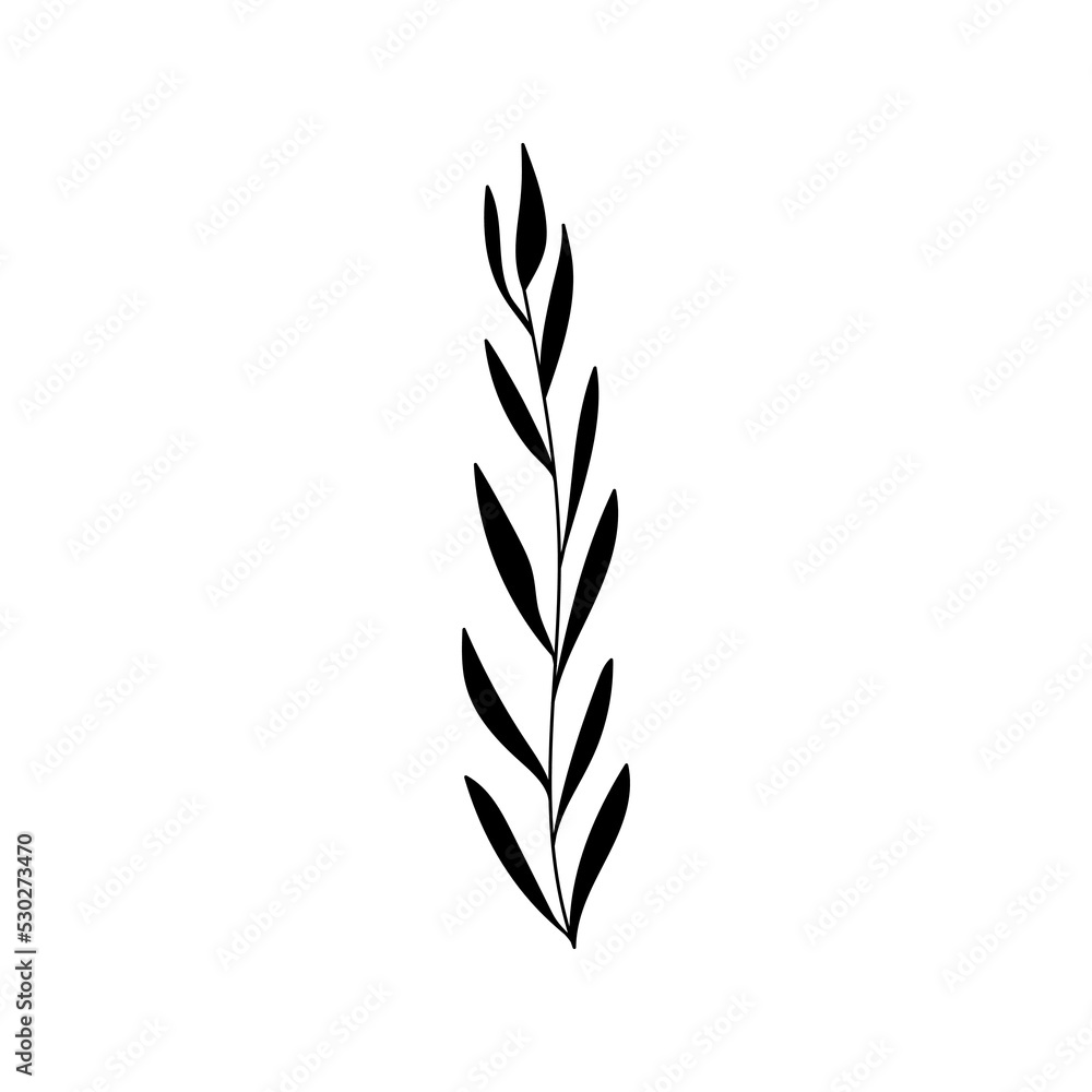 Illustration of a flower, silhouette of a twig with flowers and leaves. Vector illustration. Floral print. Illustration of a flower, silhouette of a twig with flowers and leaves. Vector illustration. Floral print.