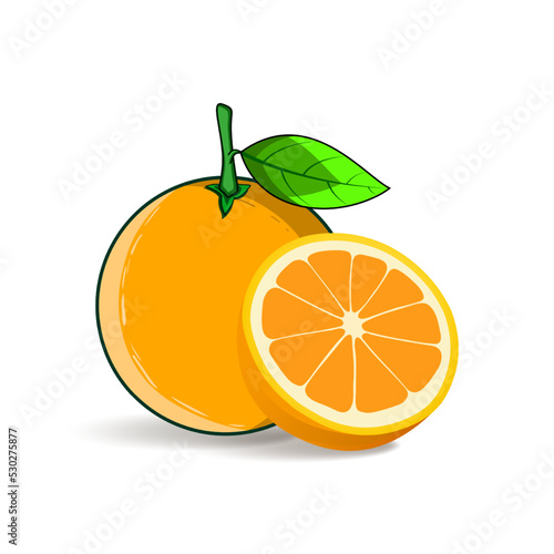 orange fruit vector design illustration isolated on white background
