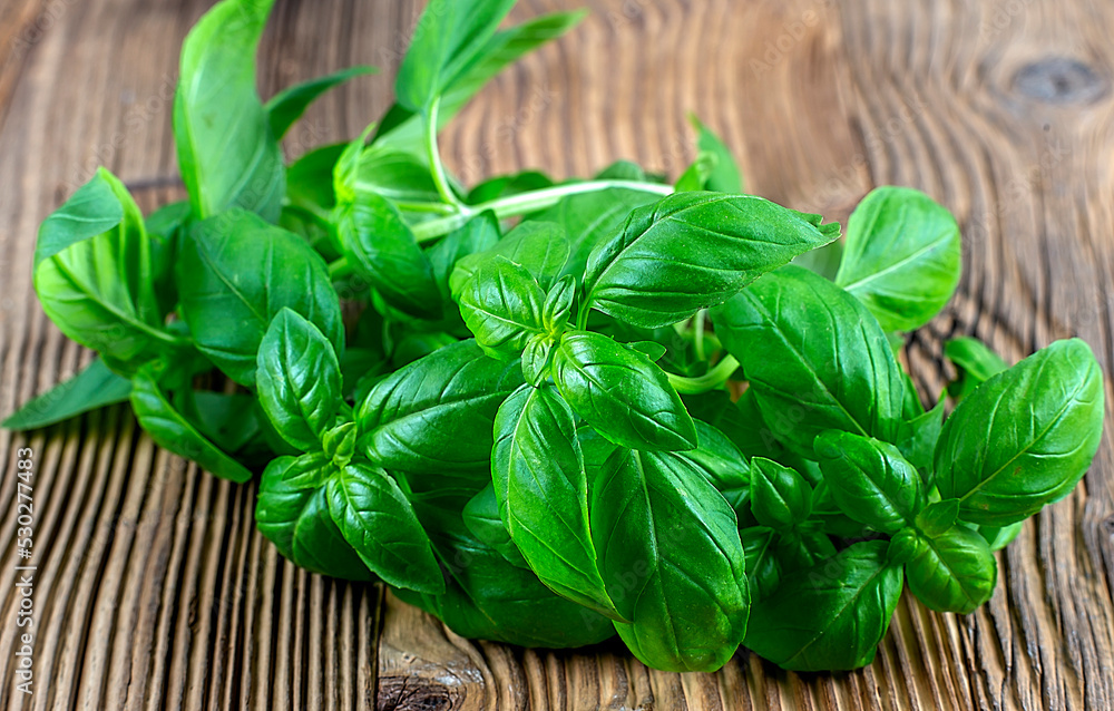 Fresh organic basilic leaves on a wooden table. Fresh organic basilic leaves on a wooden table.