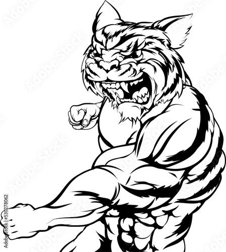 Photography Tiger character punching