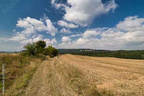 A stubble field close to path in summer day under white clouds.