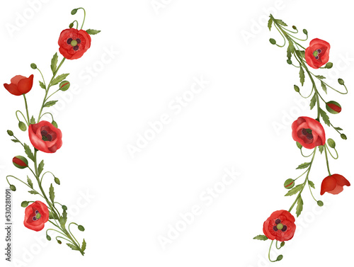 poppy flower frame