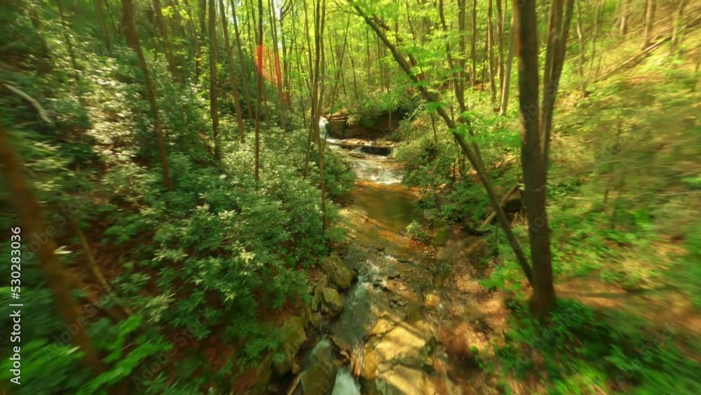 FPV drone shot flying through the forest at Ravel Cliffs Falls. Between two trees, close proximity to the stream, and up to the waterfall. FPV drone shot flying through the forest at Ravel Cliffs Falls. Between two trees, close proximity to the stream, and up to the waterfall.