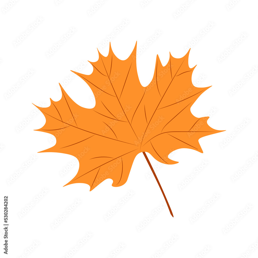 Obraz premium Maple leaves vector illustration. Autumn Fall leaves maple