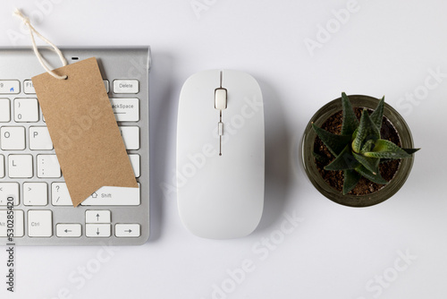 Composition of keyboard, mouse and plant on white background