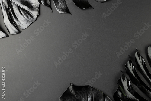 Composition of black lush leaves with copy space on gray background