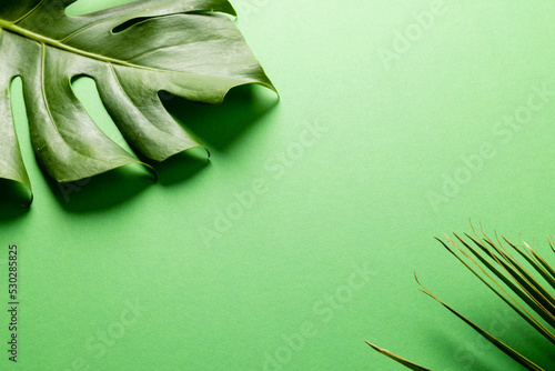 Animation of green lush leaves over green background with copy space