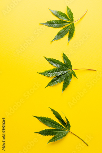 Vertical image of marihuana leaves lying on yellow background