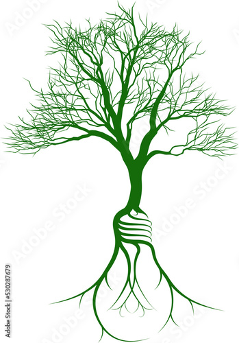 Tree with light bulb roots