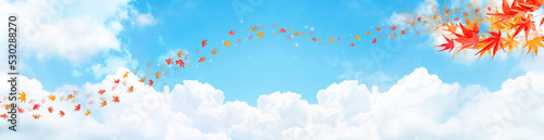 秋の紅葉と青空の背景テクスチャ