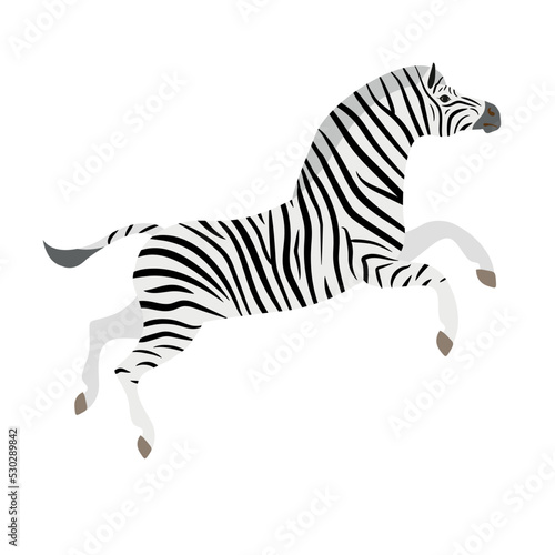 Vector flat hand drawn jumping zebra isolated on white background