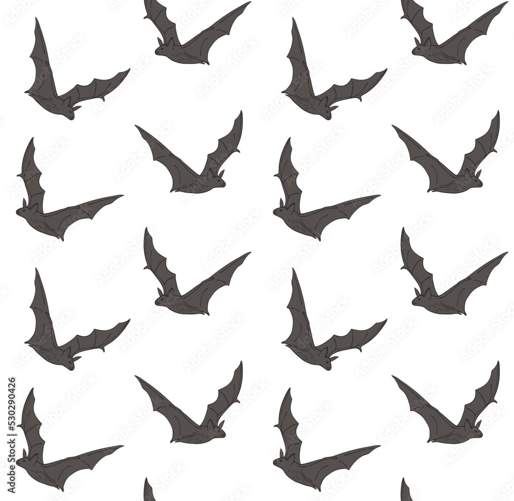 Vector seamless pattern of hand drawn bat silhouette isolated on white background Vector seamless pattern of hand drawn bat silhouette isolated on white background