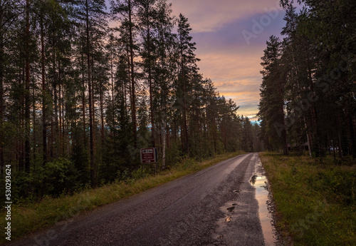 road in the woods