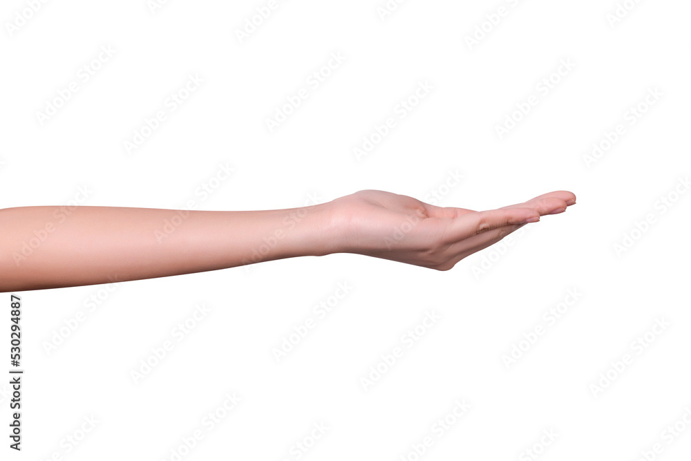 empty female woman hand holding isolated on white empty female woman hand holding isolated on white