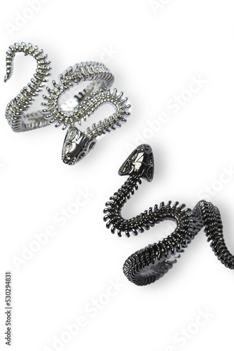 Close-up shot of a black adjustable snake ring and a silver adjustable snake ring. A double snake ring is isolated on a white background. Top view.