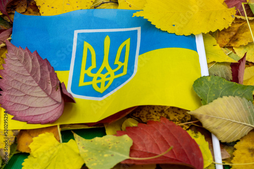 The national flag of ukraine against the background of autumn foliage. The onset of autumn in Ukraine