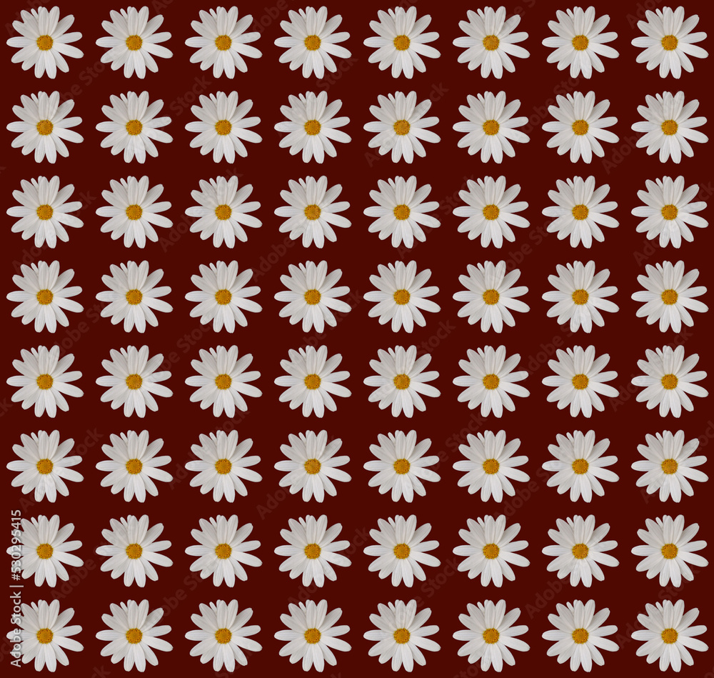 Floral wrapping paper design Floral wrapping paper design