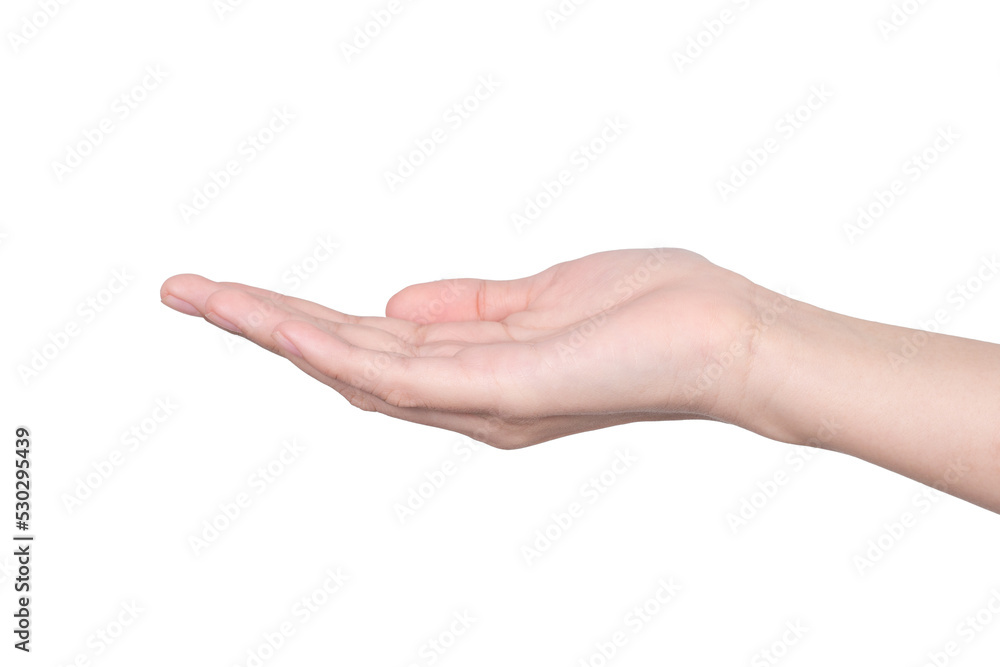 empty female woman hand holding isolated on white empty female woman hand holding isolated on white