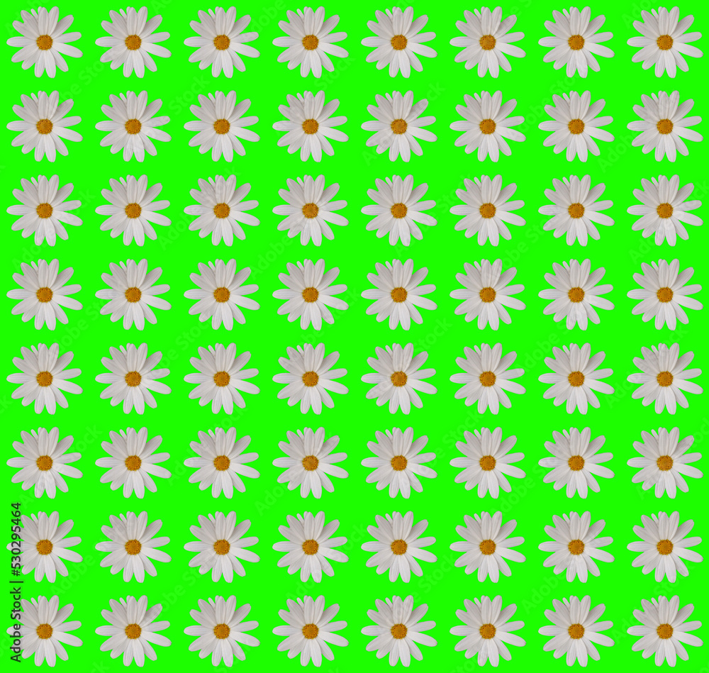Floral wrapping paper design Floral wrapping paper design