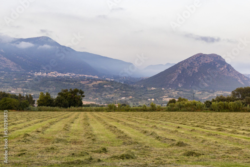 Tableau sur toile view between the hills of Capaccio, a Cilento town, from a plowed wheat field