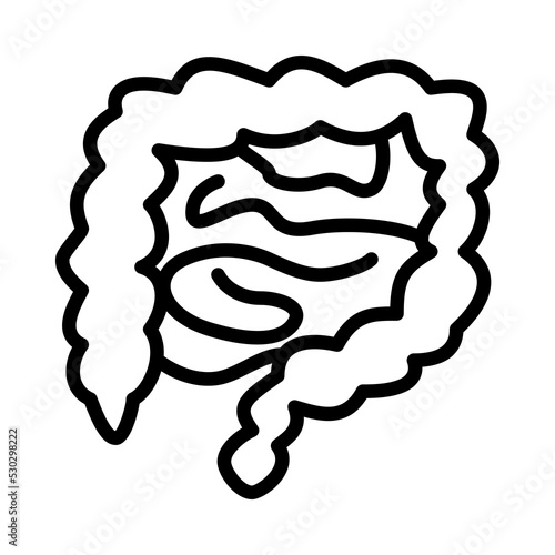 Human internal organs flat line icon. Anatomy symbols. Outline sign mascara for mobile concept and web design, store