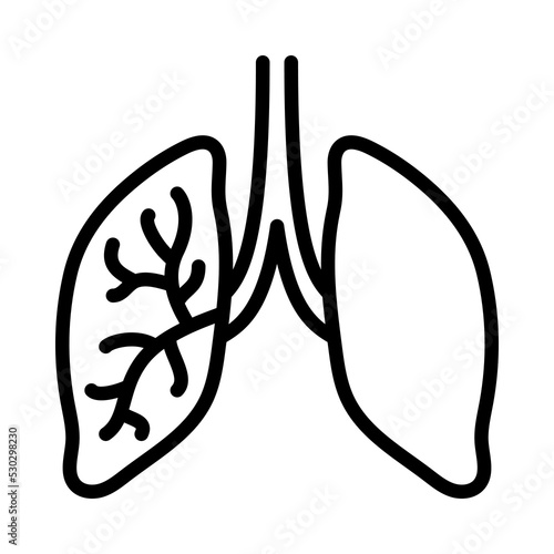 Human internal organs flat line icon. Anatomy symbols. Outline sign mascara for mobile concept and web design, store