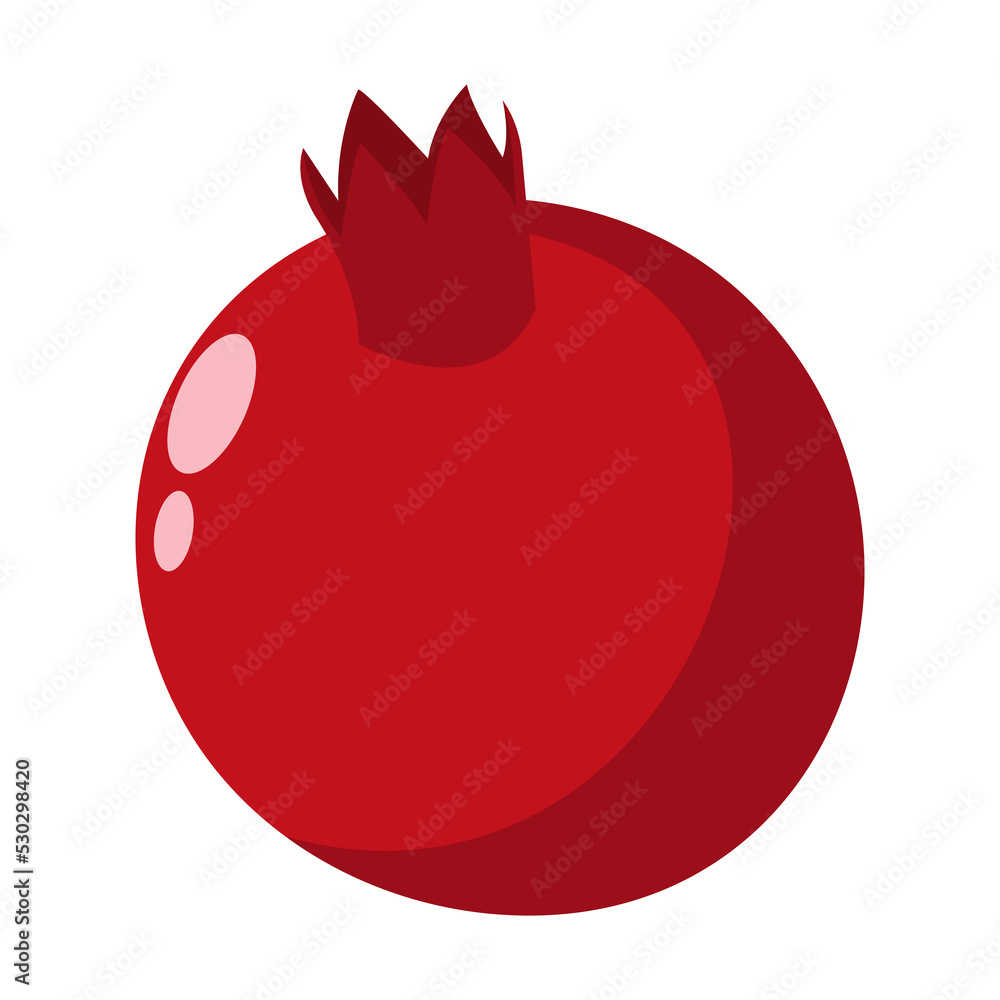 pomegranate isolated cartoon illustration on pomegranate isolated cartoon illustration on