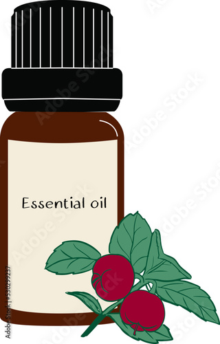 wintergreen essential oil