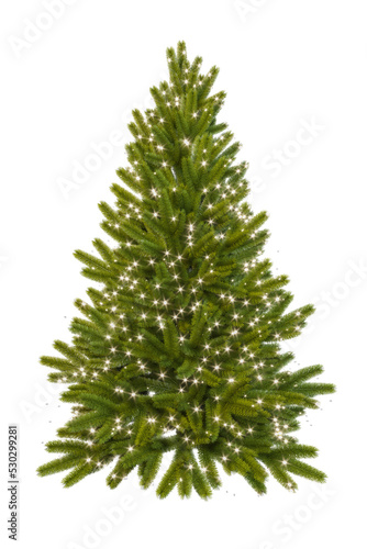 Realistic green isolated Christmas tree on a transparent white background, decorated with small netting lights. Scandinavian minimalist spruce. 3D rendering for new year cards or landscaping. © Mari_Piman