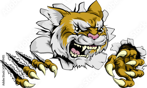 Angry wildcat sports mascot photo