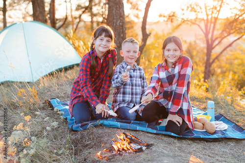 A cheerful company of two girls and a boy on a picnic in the middle of the forest. Children fry sausages on the fire, eat buns and have fun in nature. The concept of active recreation in the summer