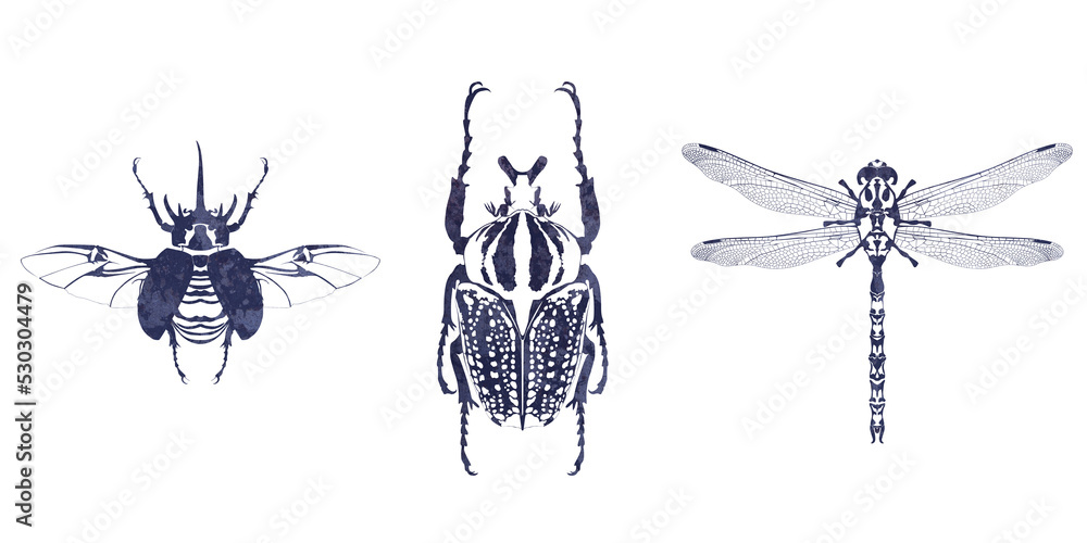 dessin d'insectes à l'encre sur fond blanc - obrazy, fototapety, plakaty 