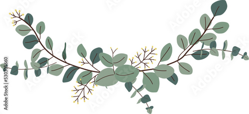Greenery Eucalyptus vector