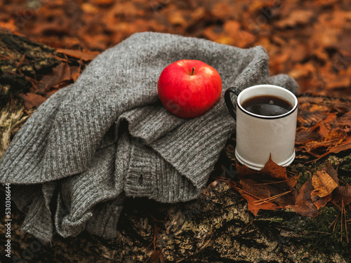 Jesienny dzień, jesienny klimat, herbata w lesie 